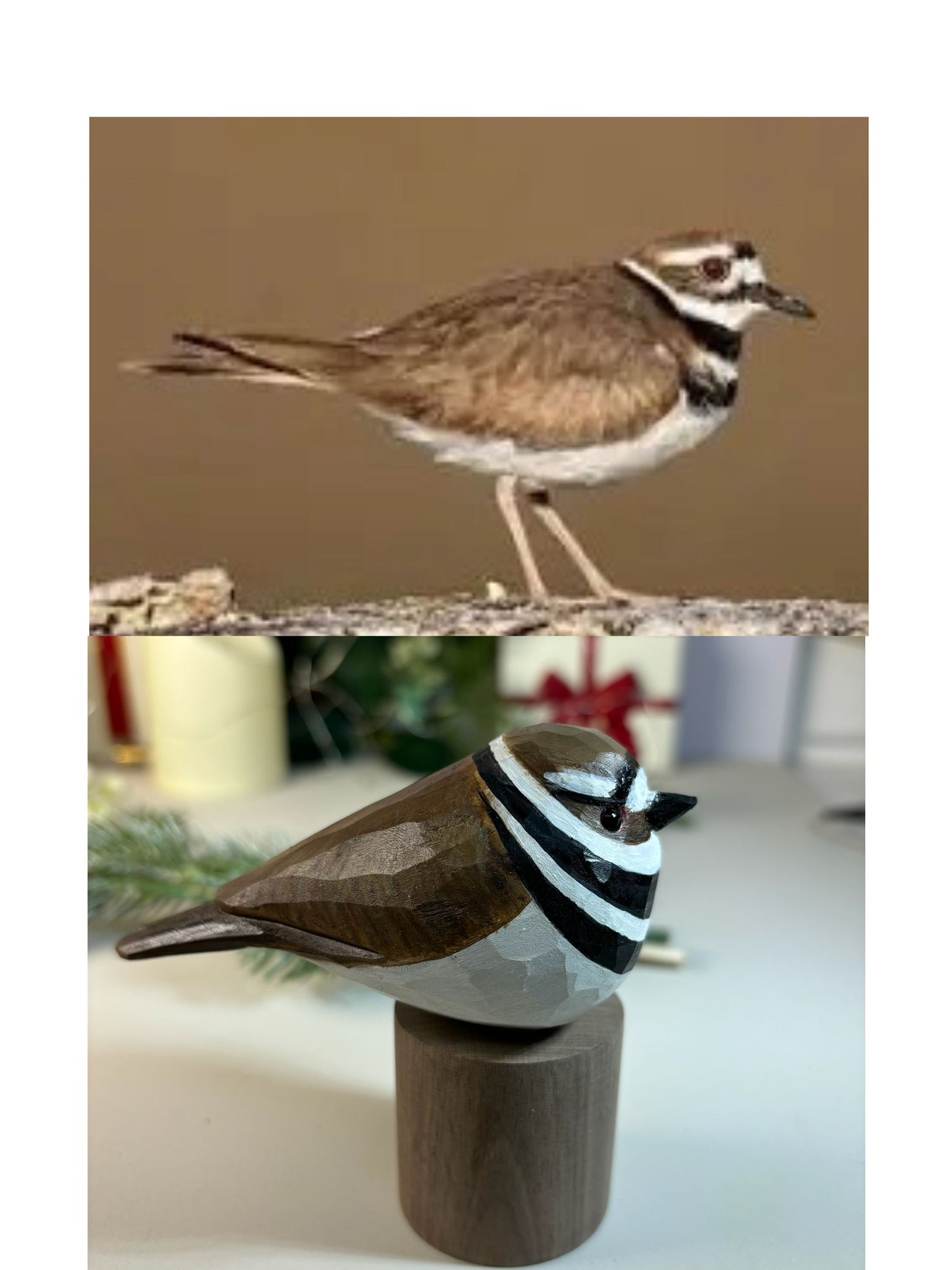 killdeer-Custom-Sculpted Hand-Painted Birds