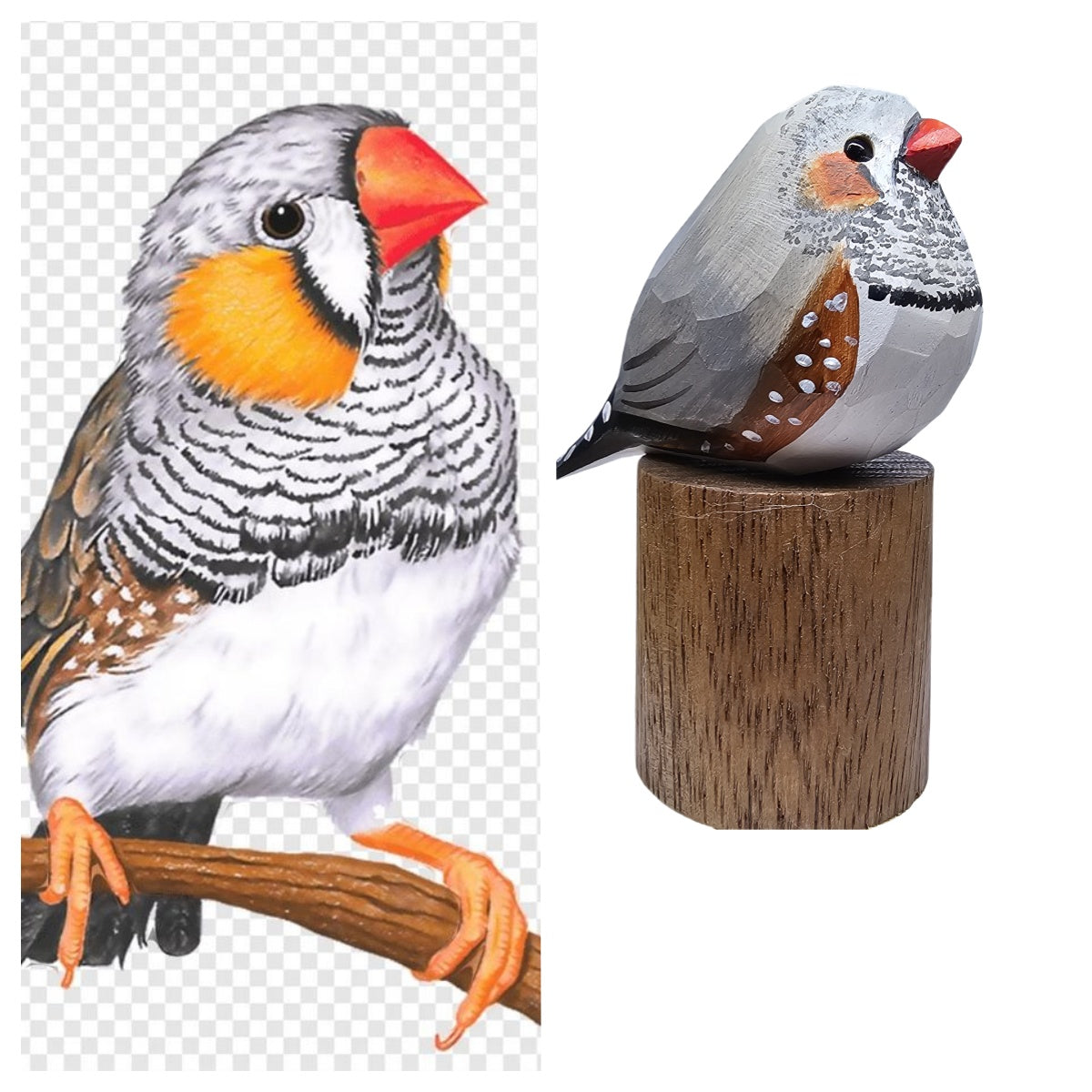 Custom Item of Estrildid Finches Collections (Zebra Finches, spermestes Griseicapilla, Amadina fasciata)